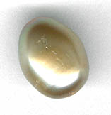 large beige oval pearl bead