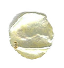 freshwater cornflake pearl bead off-white